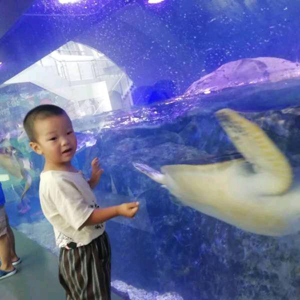 约个