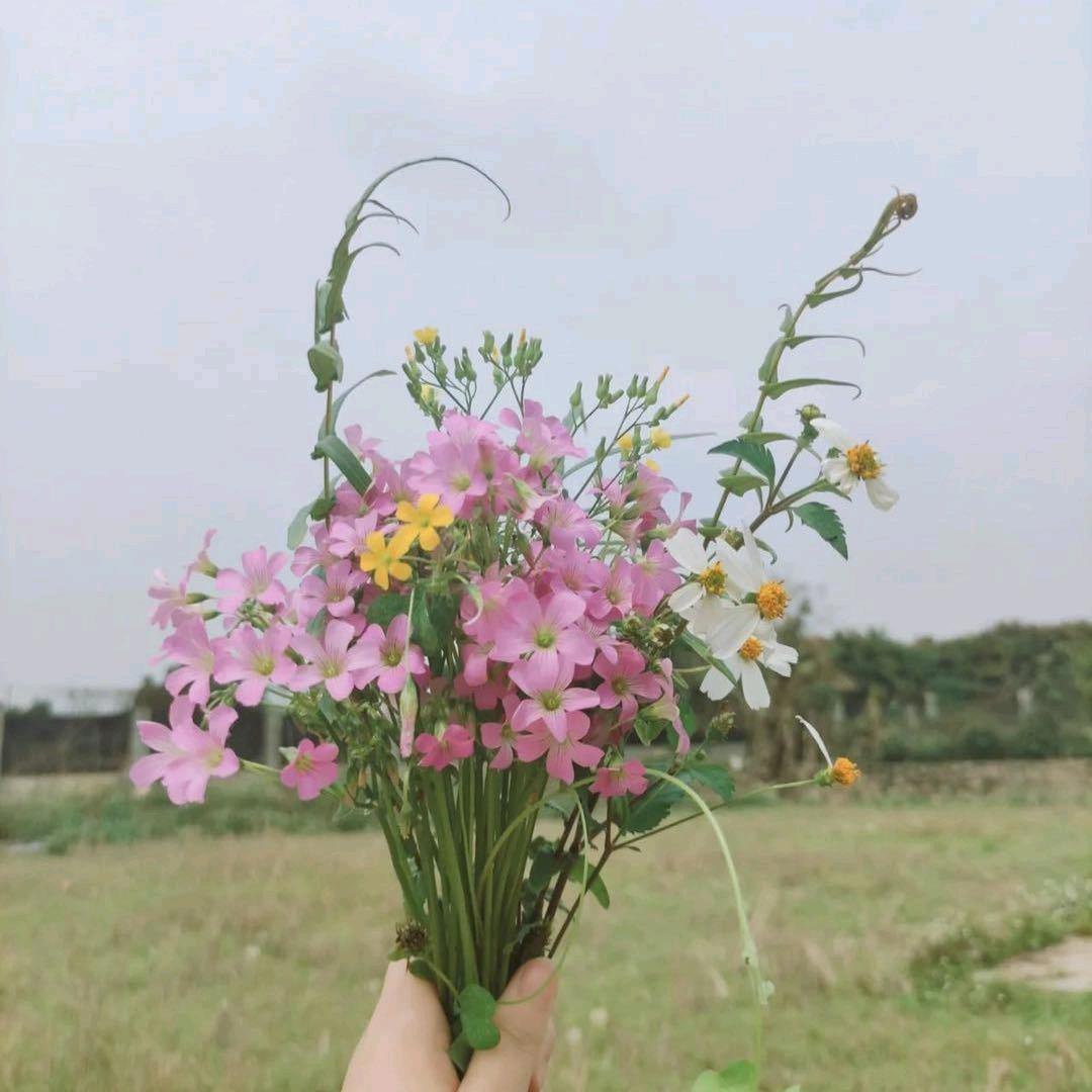 幸福美满