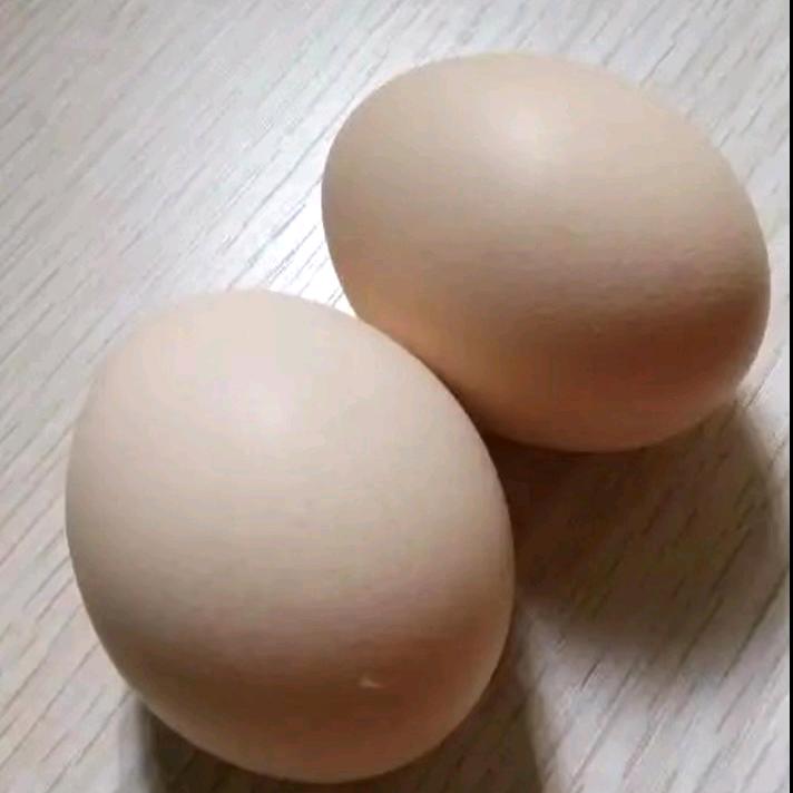 ꧁小戴专属(๑Ő௰Ő๑)꧂🦄⁸⁰⁵⁸