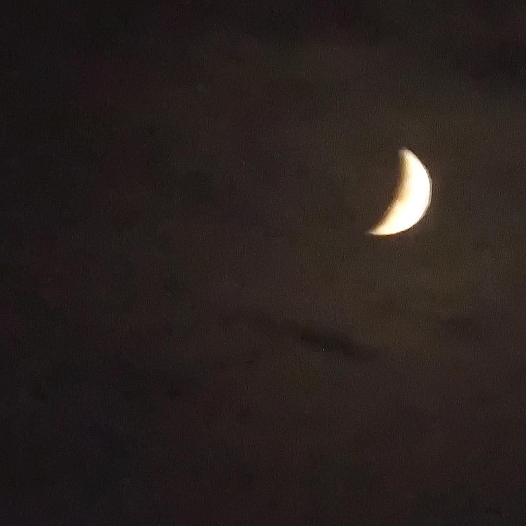 脸像柚子皮一样薄