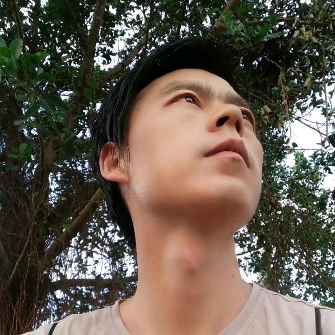 一马遇三石
