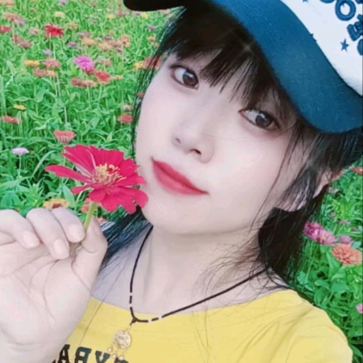 飞飞