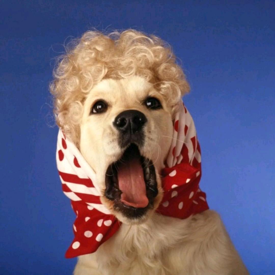 是哆啦的百宝箱