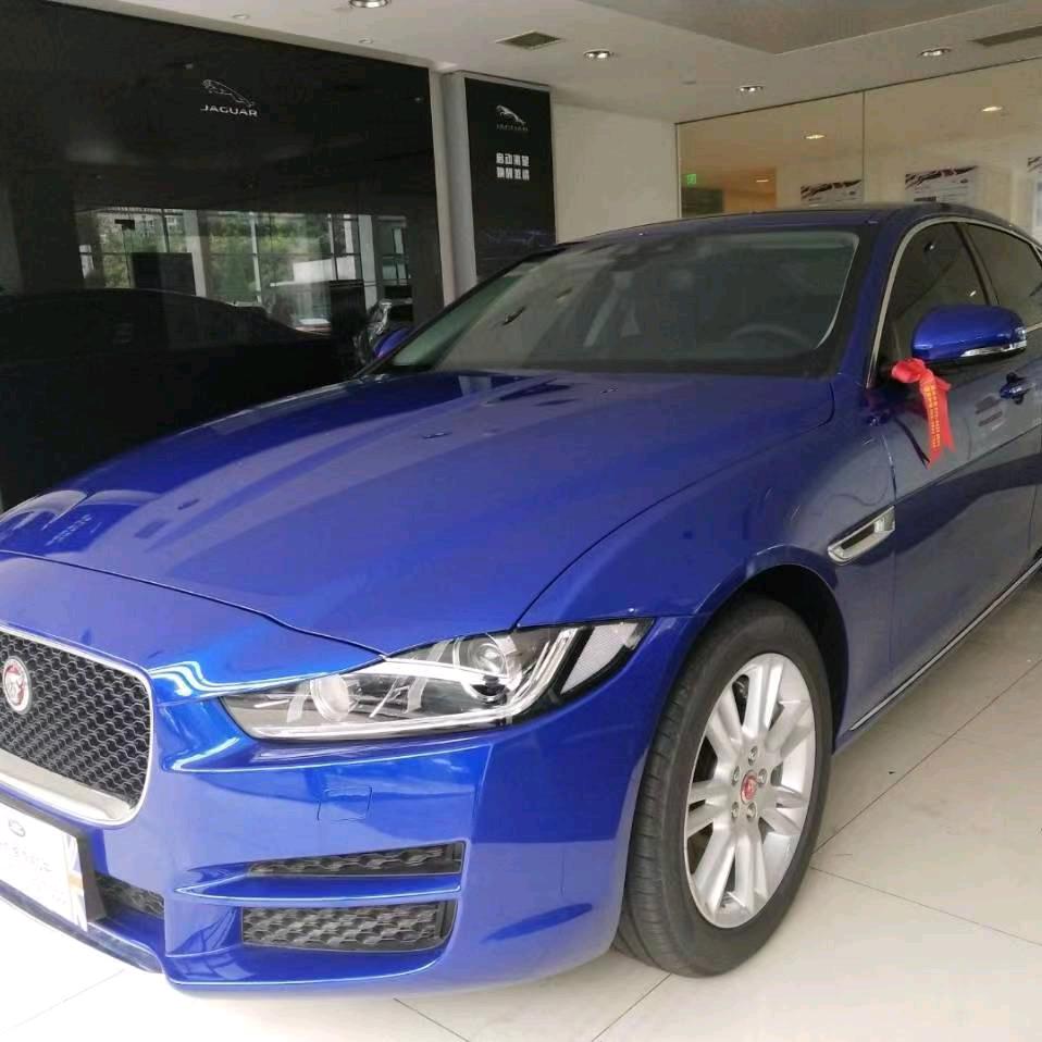 混世魔王（全国黑猪购销）