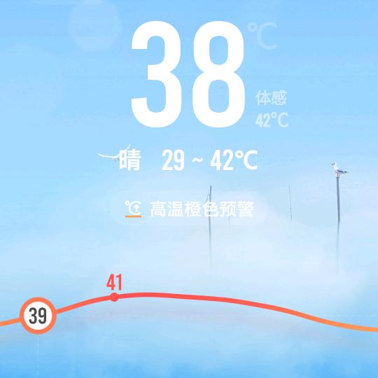 成哥@