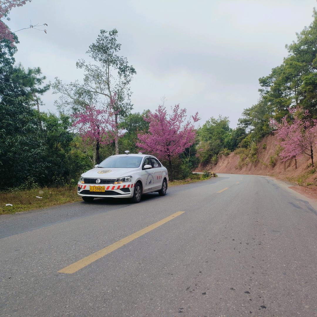 镇沅安达驾校小罗教练