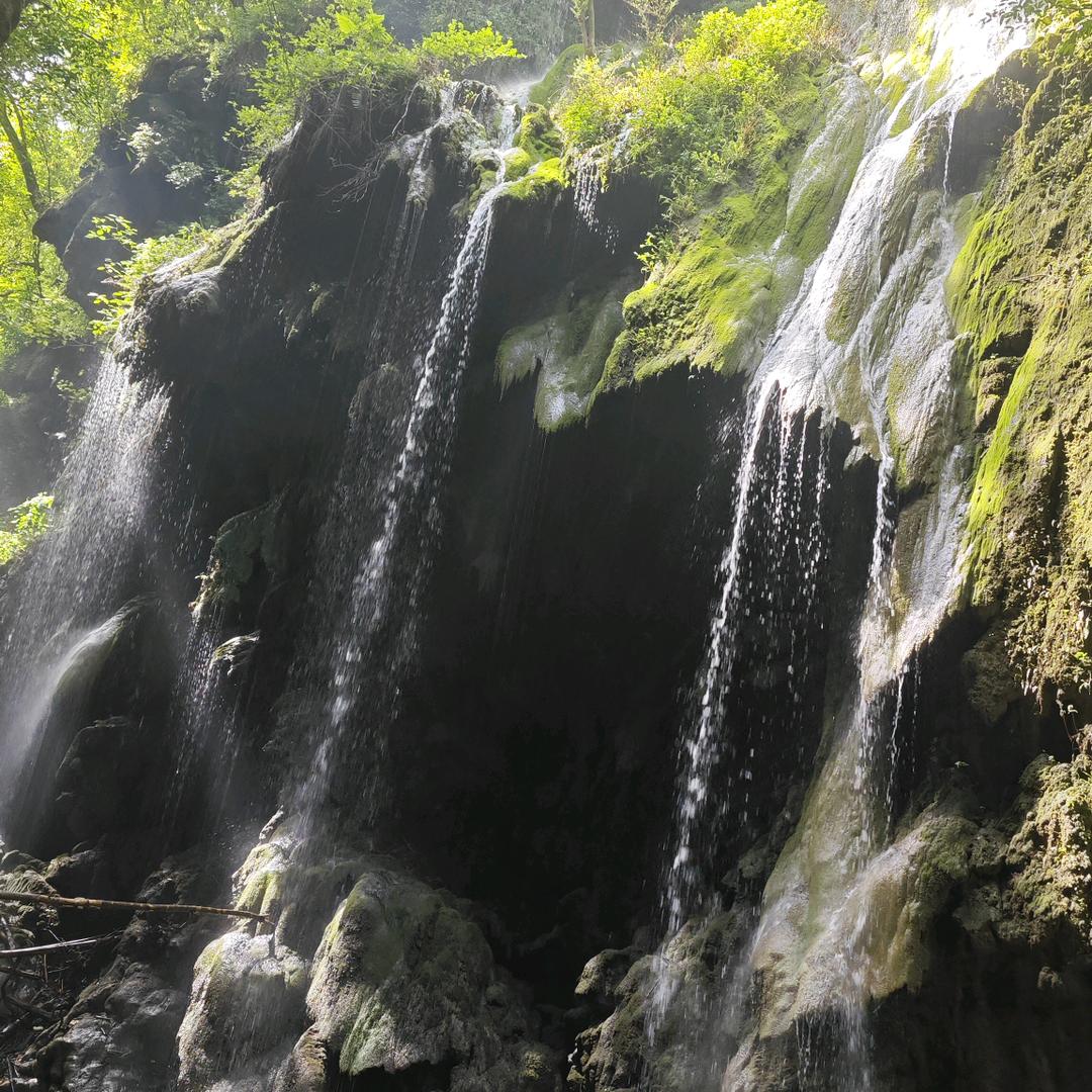 王林