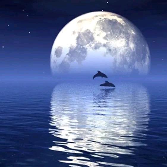 🌙🌙🌙🌙🌙🌙🌙🌙🌙🌙