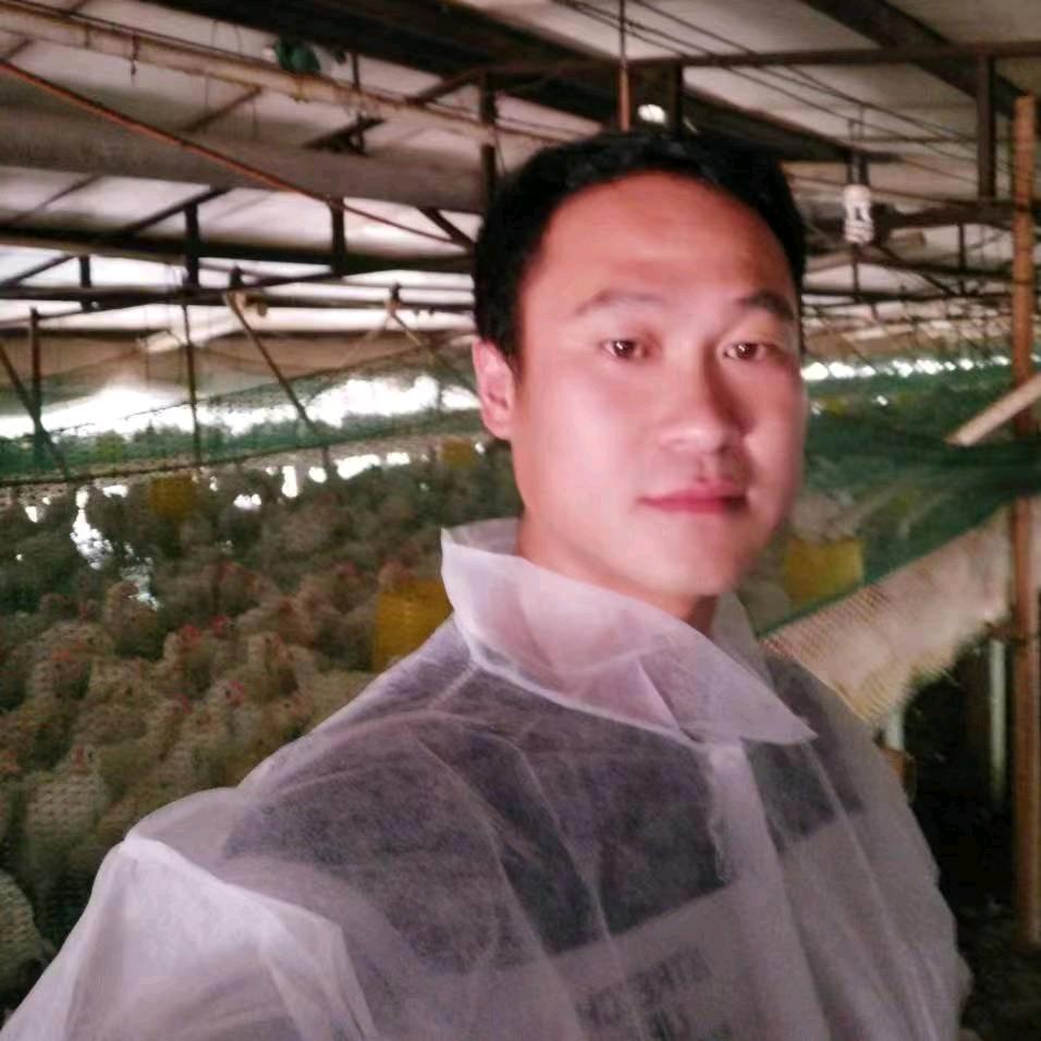 东东仙哥聊养鸡