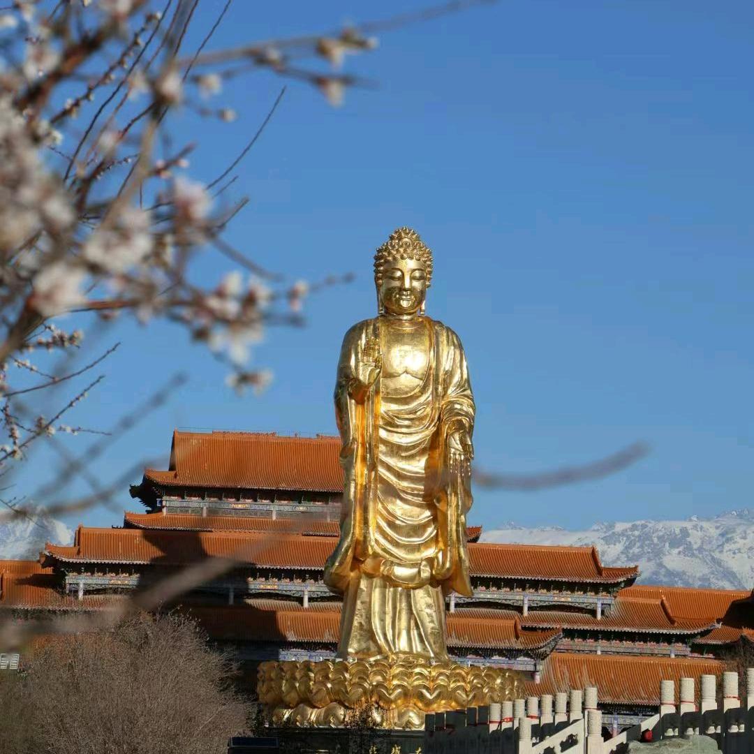 乌鲁木齐房产销售（亚妮）