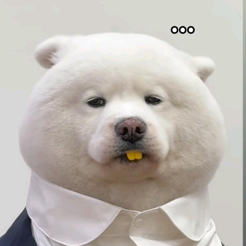 水爸