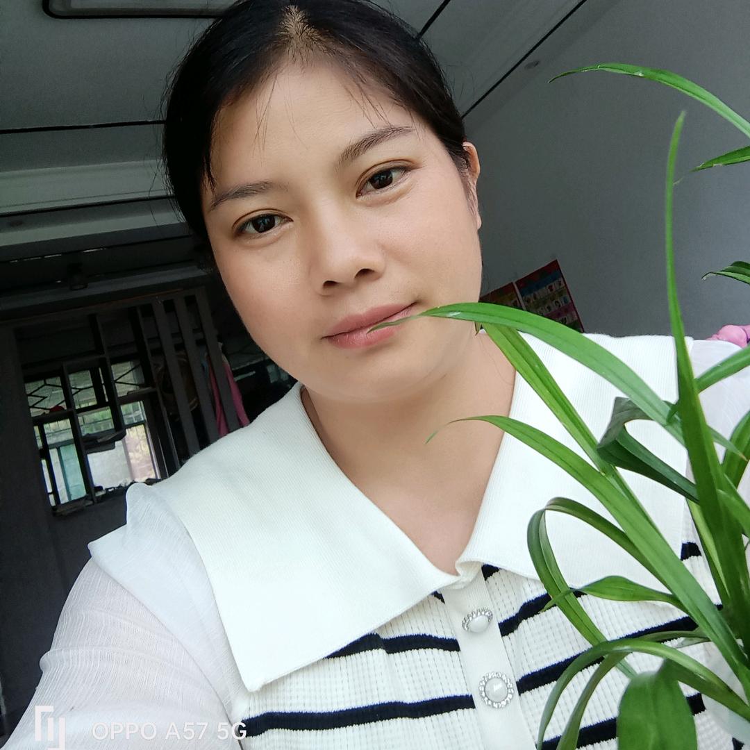 白菜