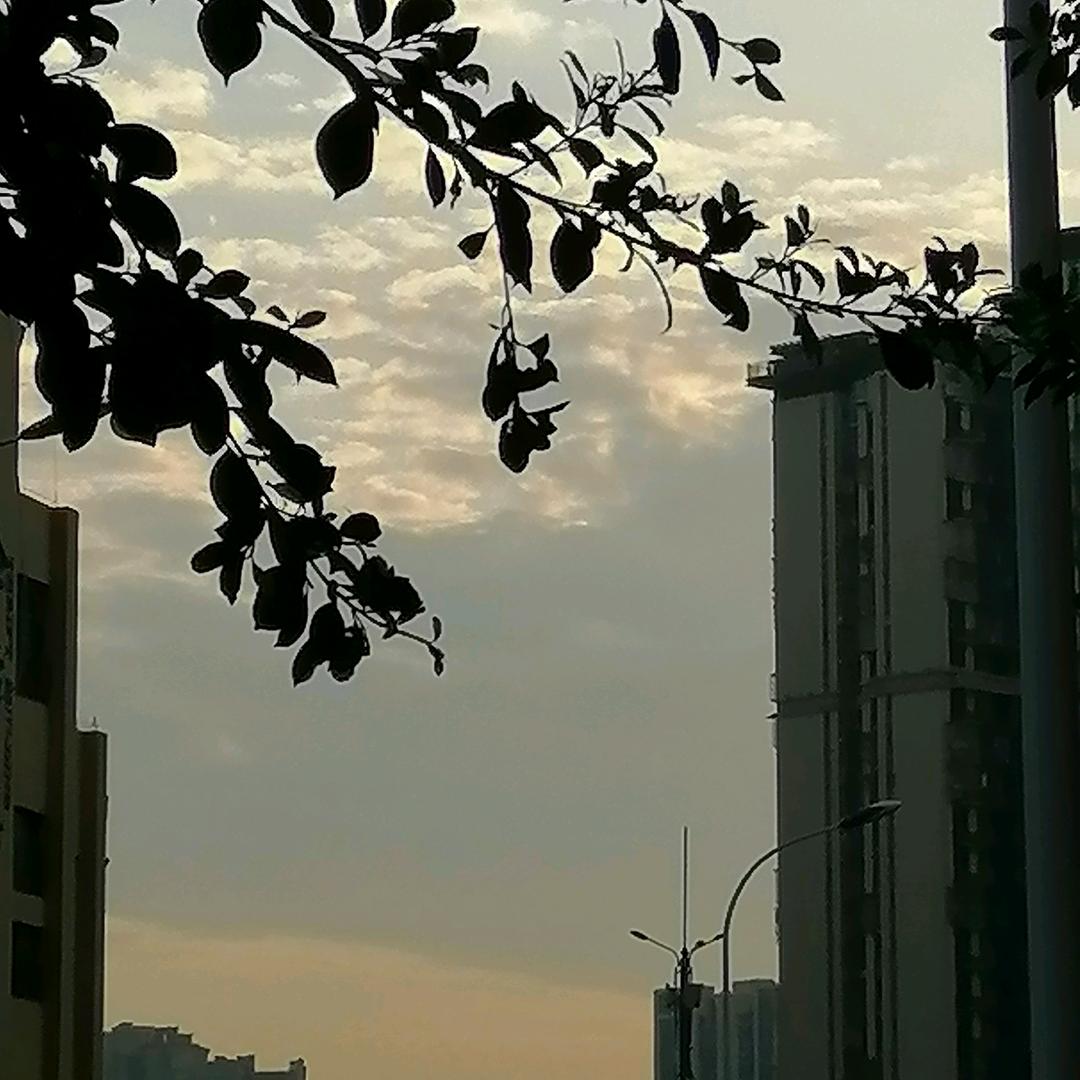 薰蓝