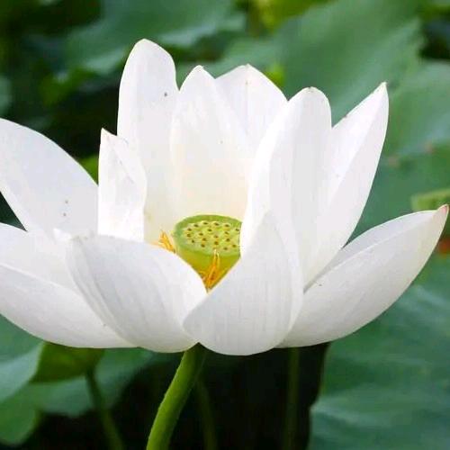 几许曾经的过往