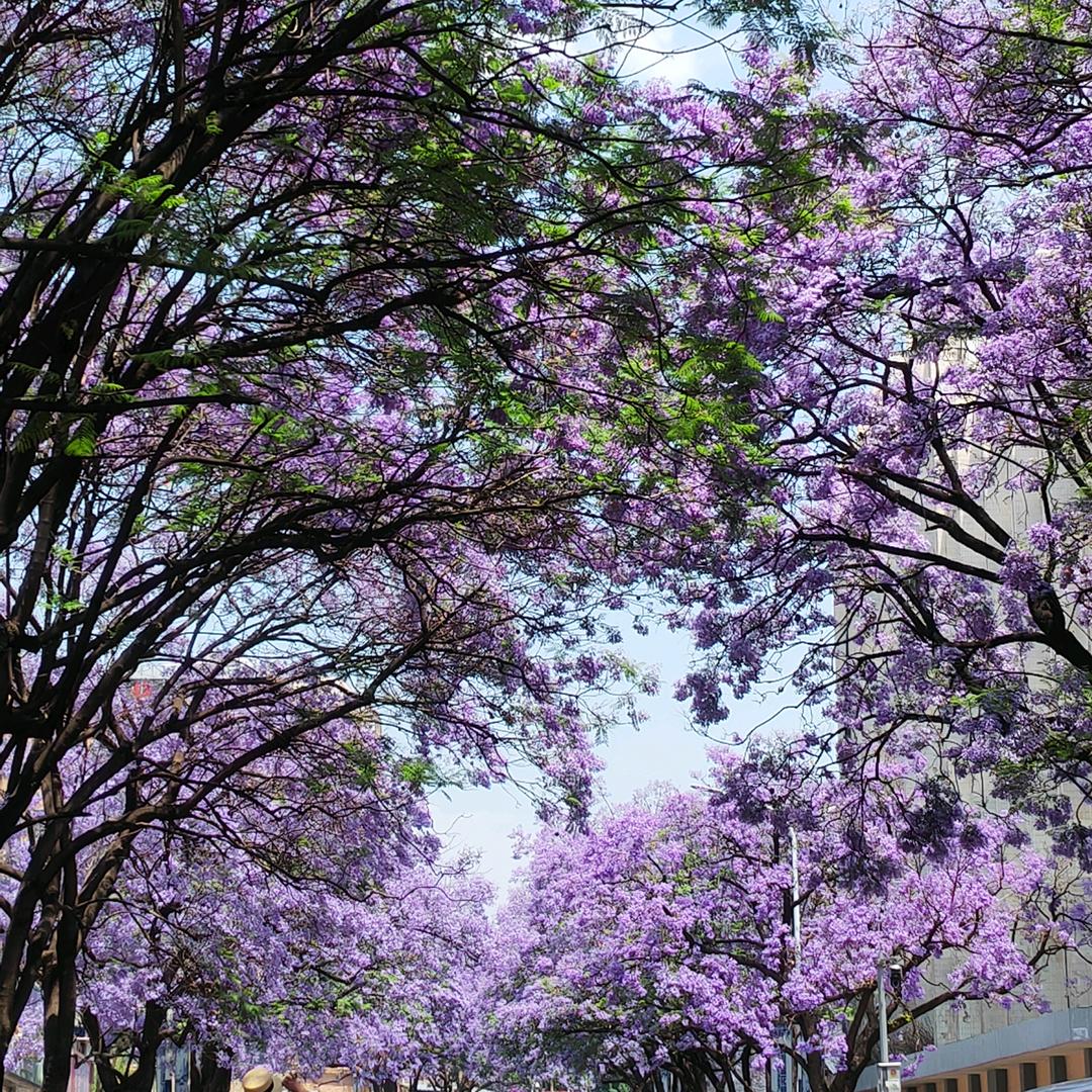 云南旅居住宿团购