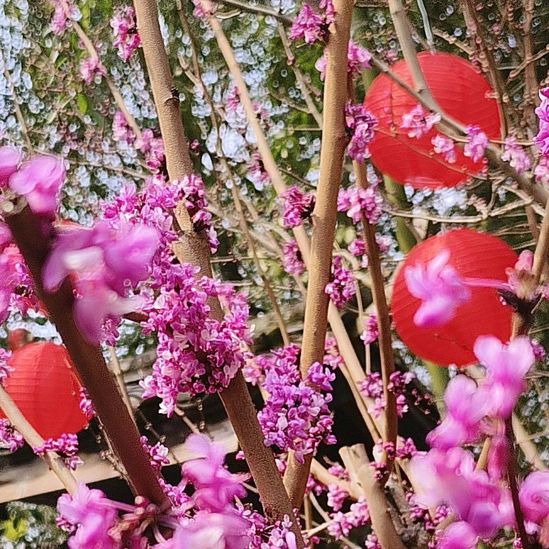 心已死，情已断