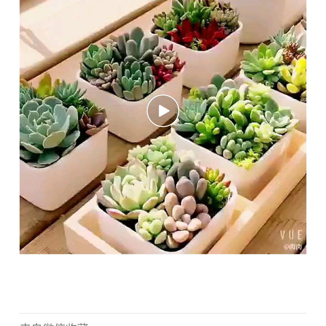 李所当然