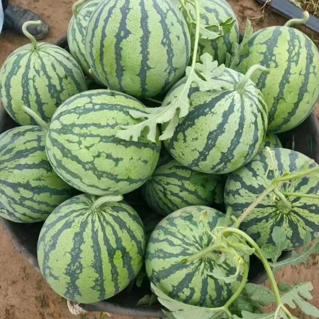 水果一霸！应季水果大吨位供应！