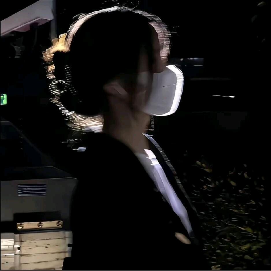 山茶