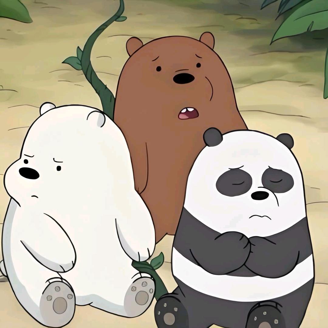 小熊三只
