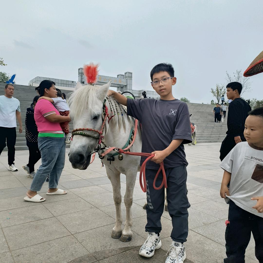 白正阳