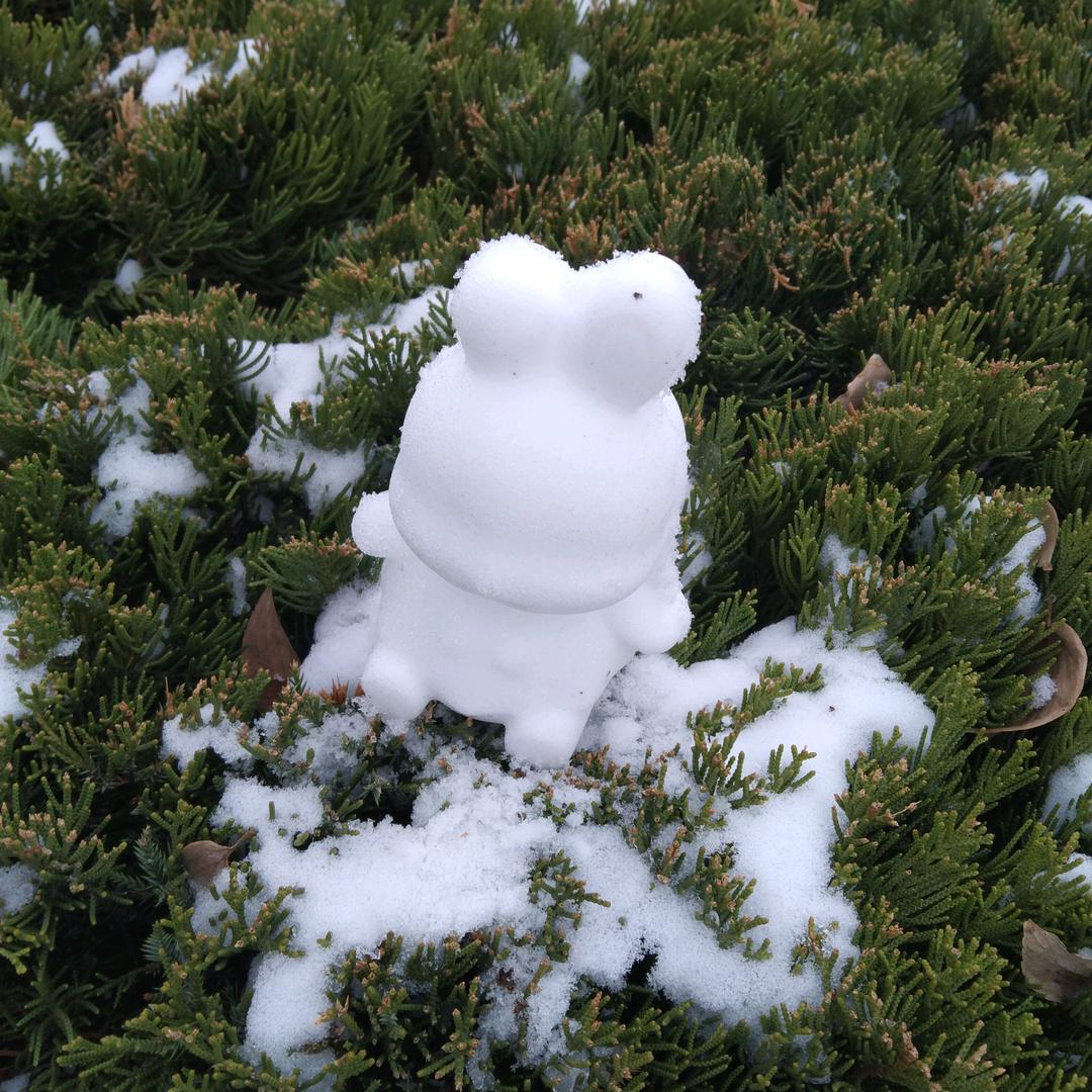 小艳子家有两百万👬