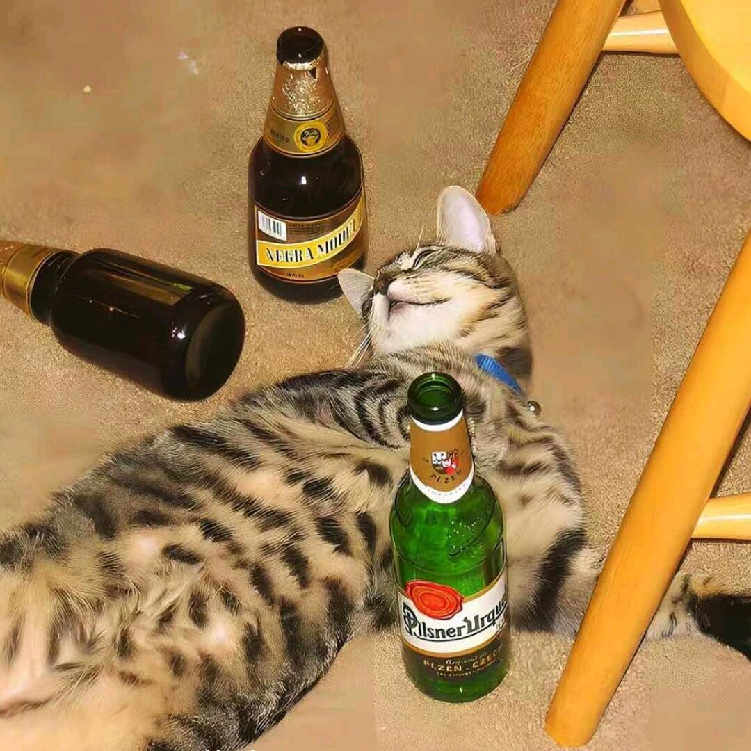 迟