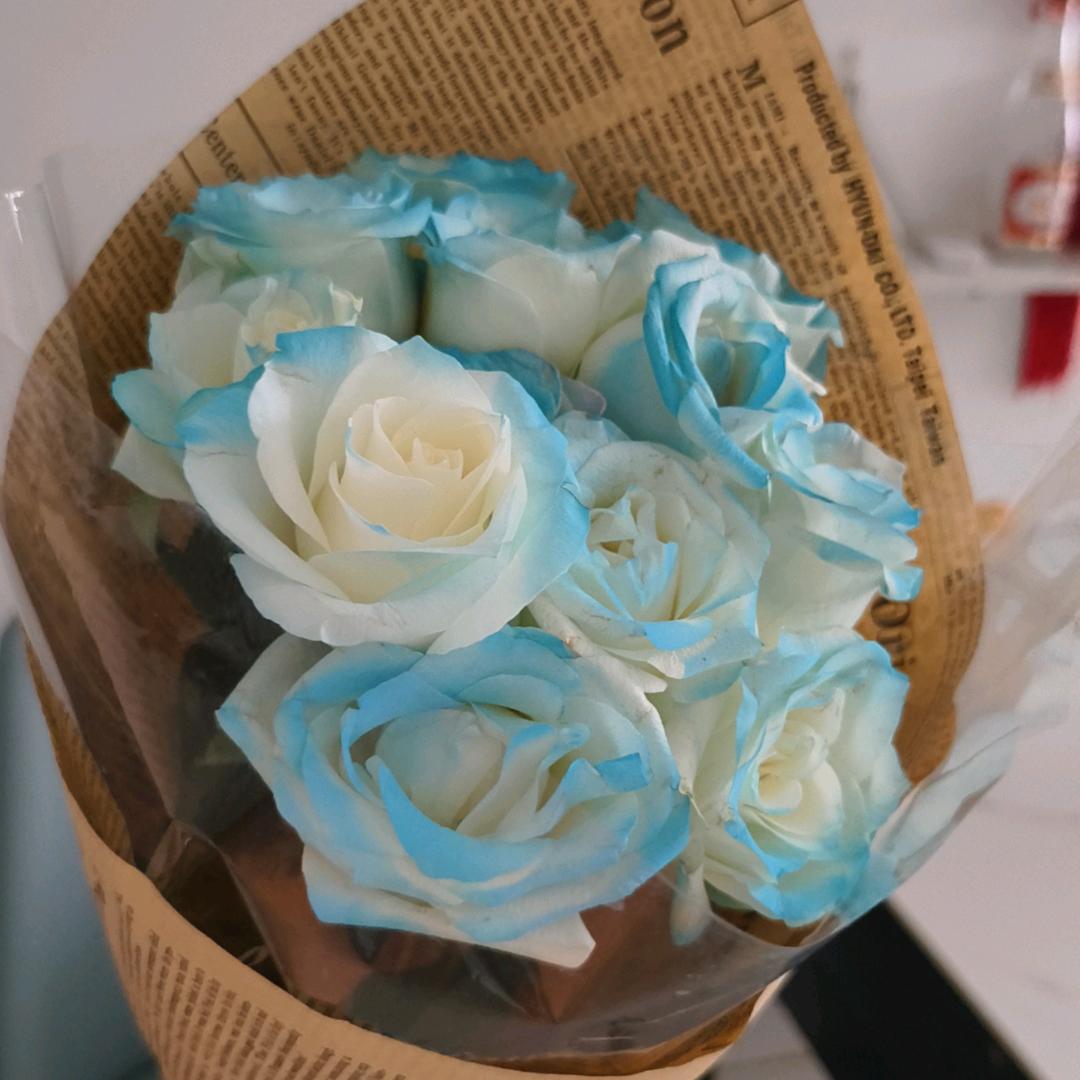 一身傲气不随众