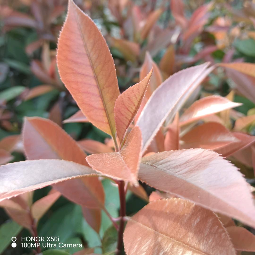 我不是除了你就没人要