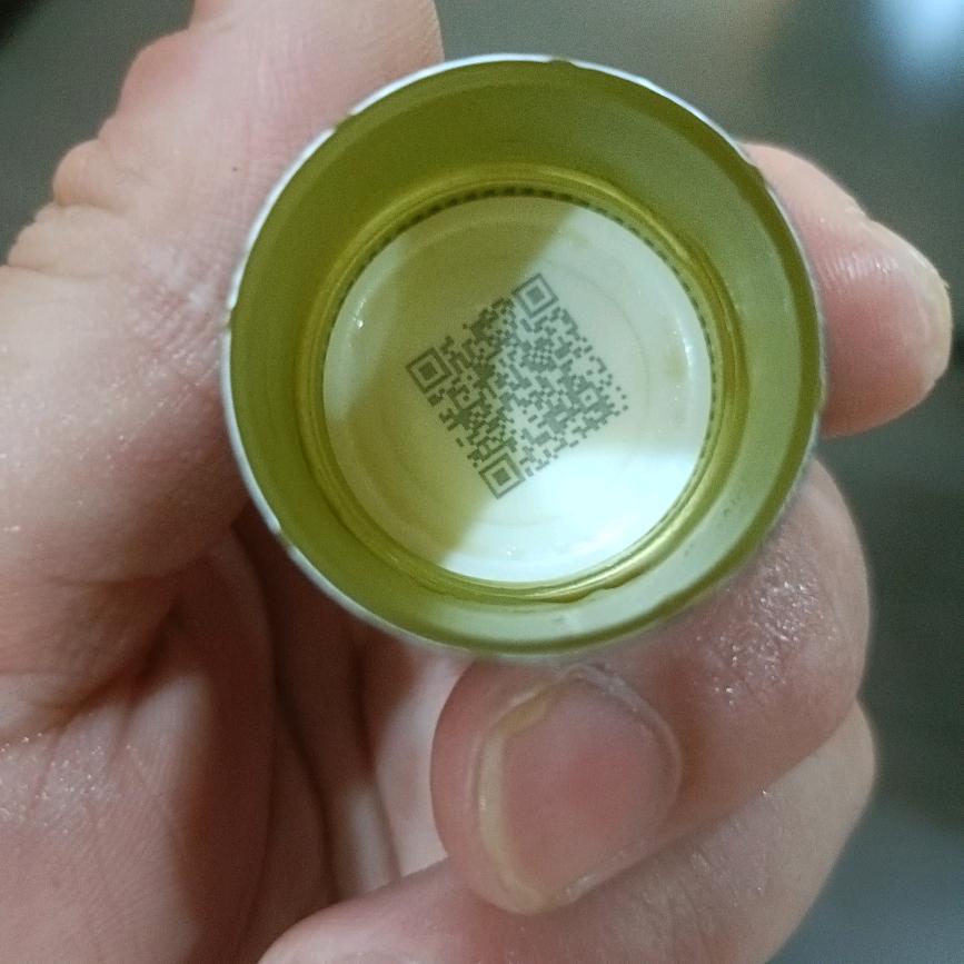 闲云野鸡