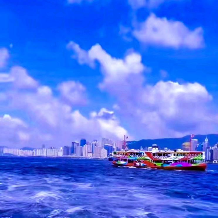 ✨️小🐟鱼