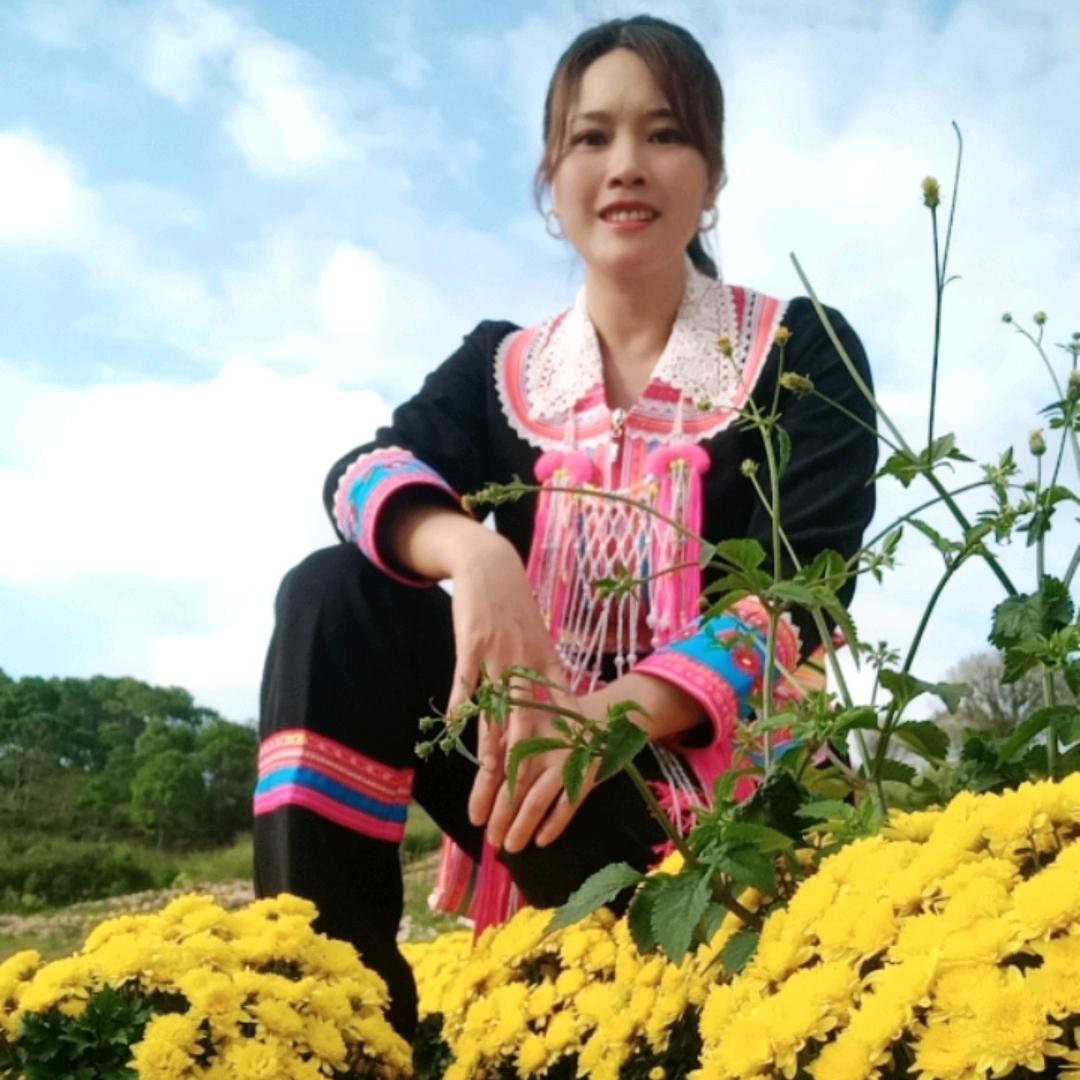 韦家二小姐