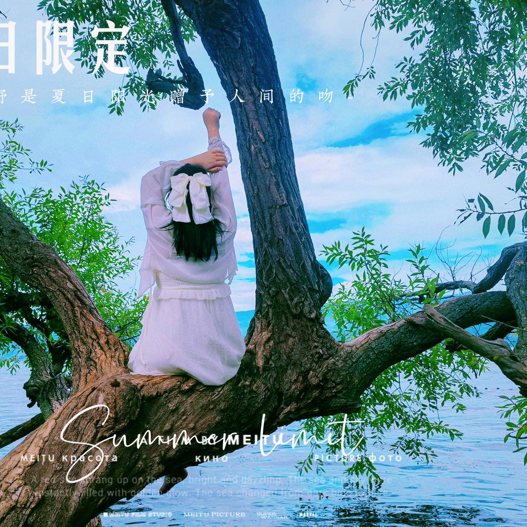官官爱追剧