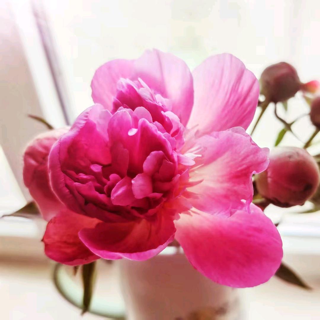 齐小果