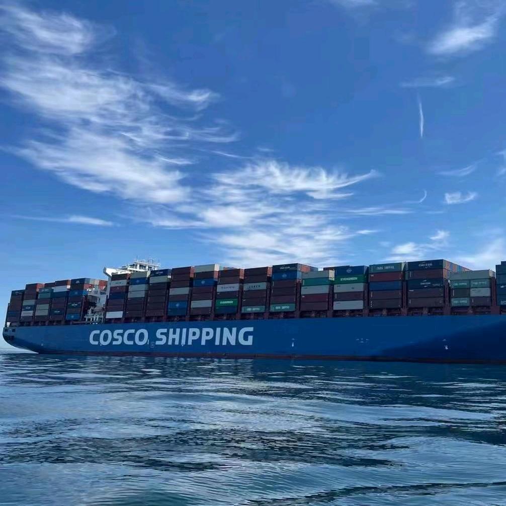 姜芯—宁波同泽国际物流