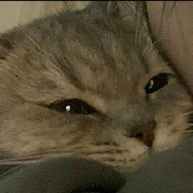 尽～