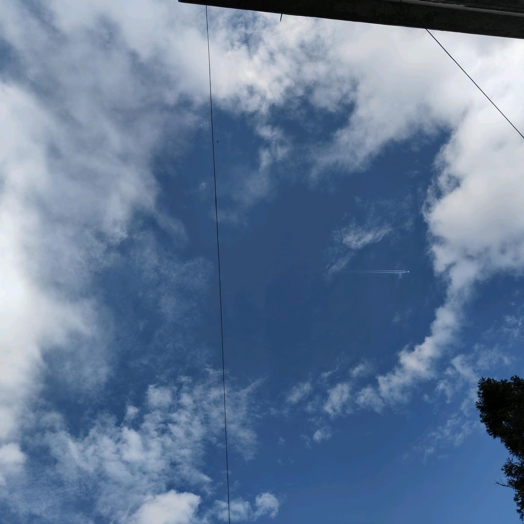 🍎龙🍒两宝妈