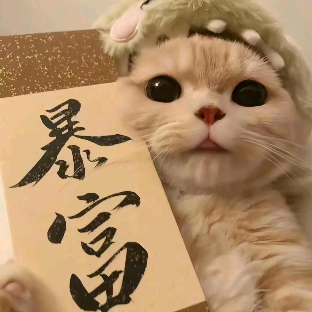 折桂优选🈺