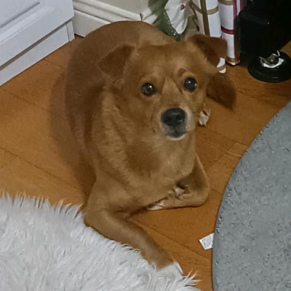 爱唱歌的英语老师（刚失恋）