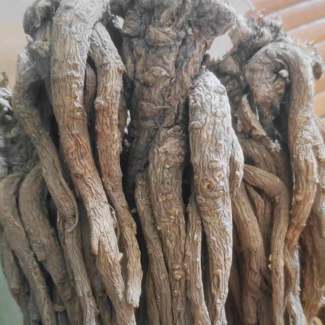 方莲中医药研究有限公司