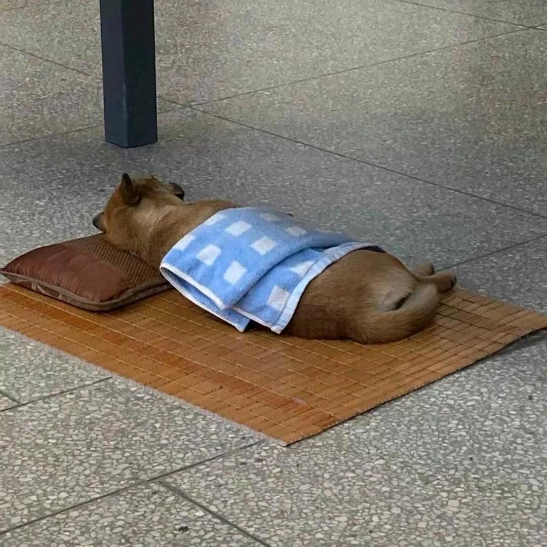 宭裕