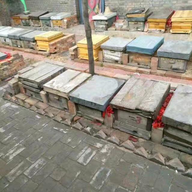 （吉）祥（平）安一蜂蜜搬运工