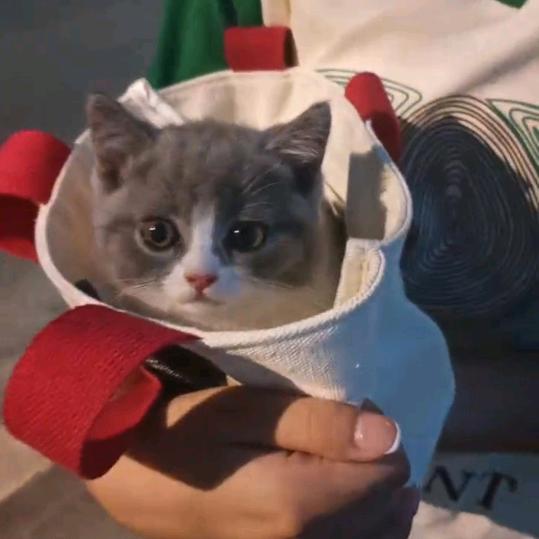 萌宠不NG宠物用品