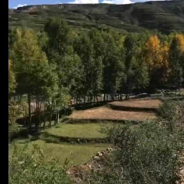 怎么开心怎么活
