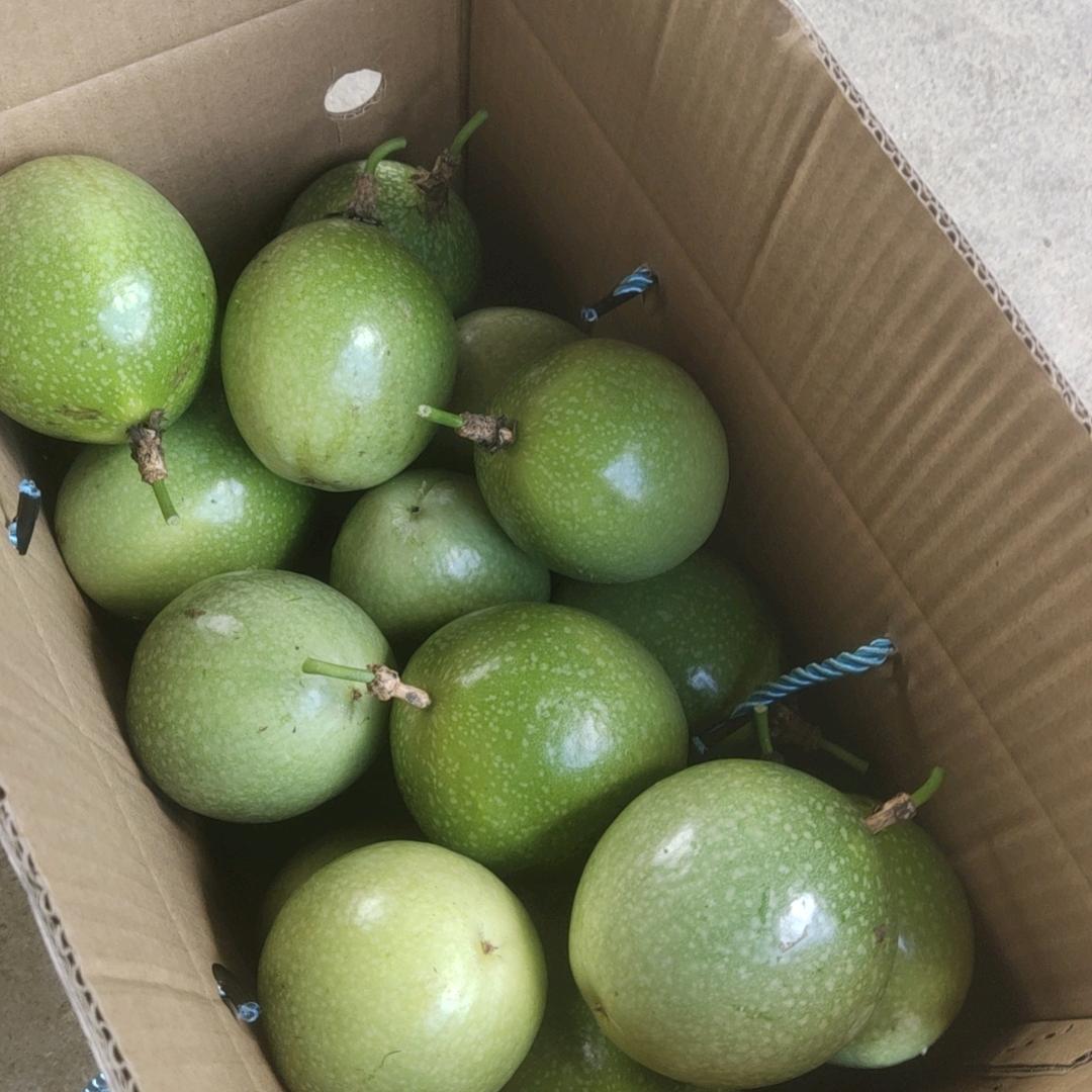 এ杯中烈酒໌ᮨ🚬小江哥🍶དྷ༗࿐