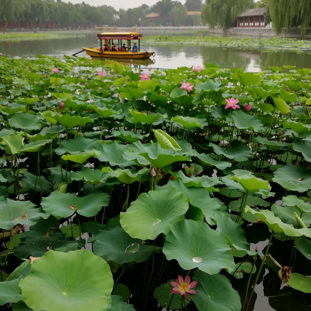 漠北