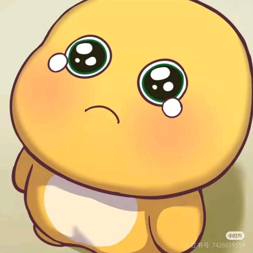 会哭的小奶龙