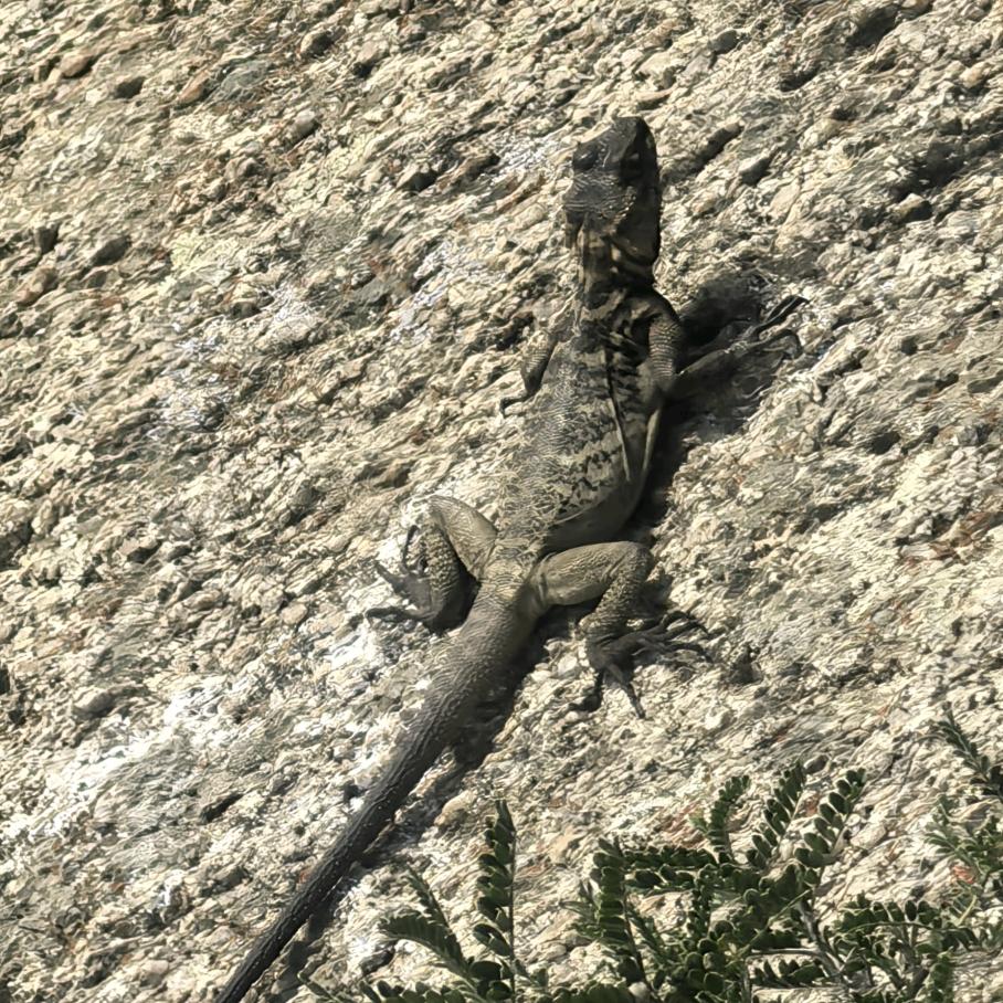 从零开始