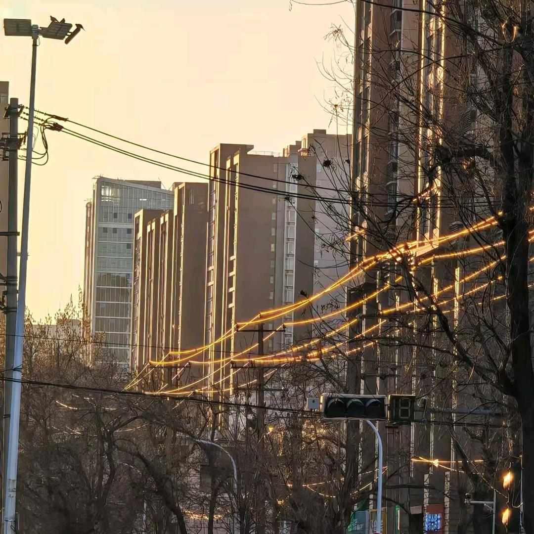 不觉晓核桃