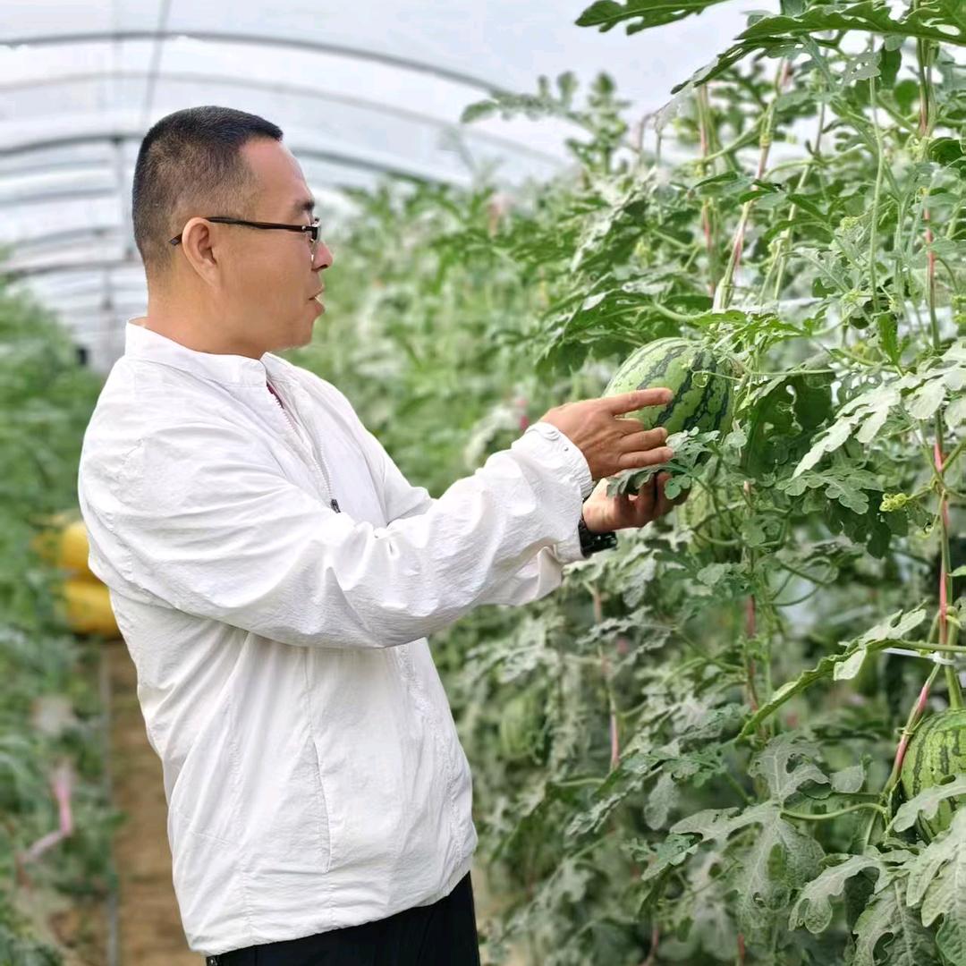 《产地直供》佳运来果蔬农民专业合